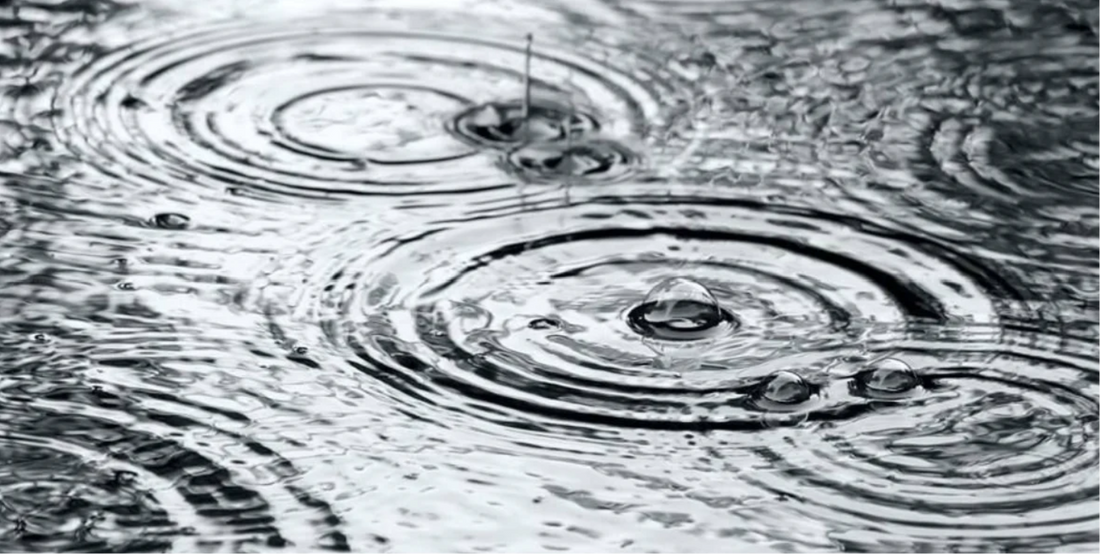 Rules, Leagues, and When Play Stops