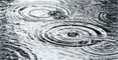 Can You Play Pickleball in the Rain?